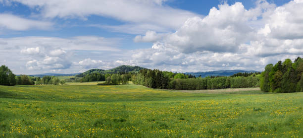 istock Panoramic spring landscape with green meadow, woods and mountains 1266477627