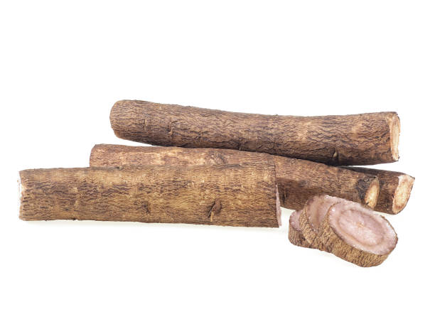 istock Fresh Burdock roots with slices isolated on a white background 1266478663