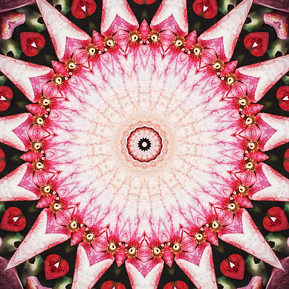Kaleidoscope of a geometric pattern  with  flowers .
