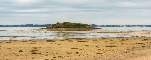 istock Brittany, panorama of the Morbihan gulf 1266485213