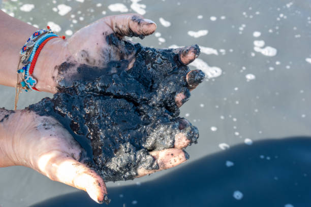 istock Female hands holding healing black mud. 1266485220