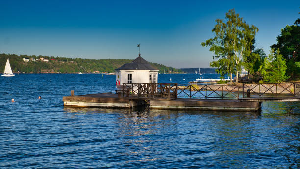istock Summer cottage and sea view 1266486060