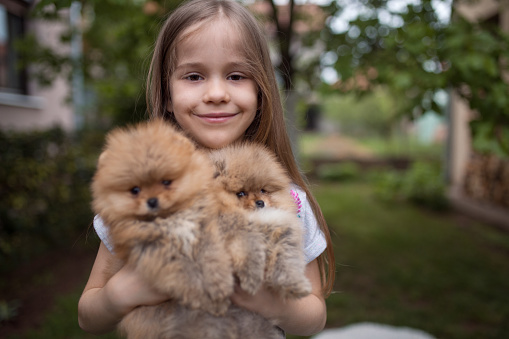 One young girl playing with her puppies in the backyard on sunny day