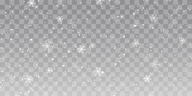 wektorowe intensywne opady śniegu, płatki śniegu w różnych kształtach i formach. płatki śniegu, tło śniegu. spadające święta bożego narodzenia - snowflake stock illustrations