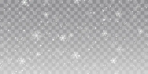 Vector illustration of Vector heavy snowfall, snowflakes in different shapes and forms. Snow flakes, snow background. Falling Christmas