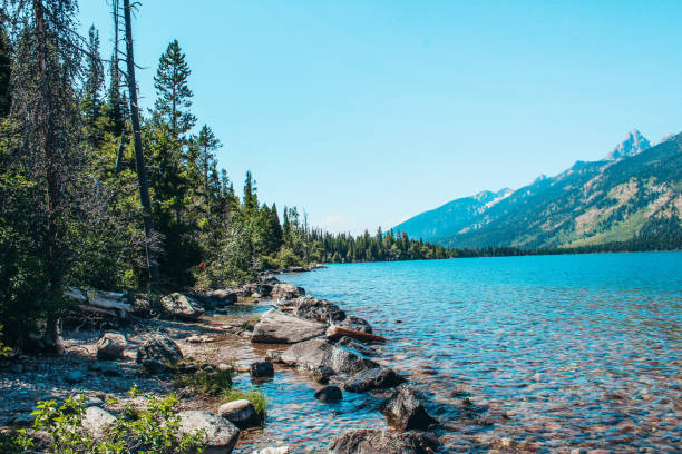 istock Rivee in Teton National Park 1266496916