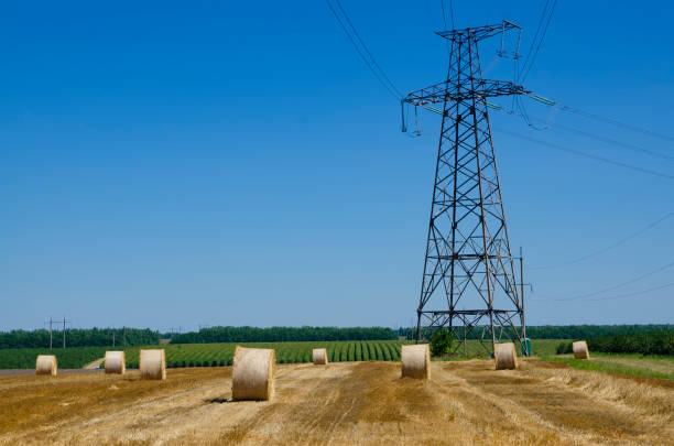 istock Straw bales on a harvested field. Agriculture field with sky. 1266496996