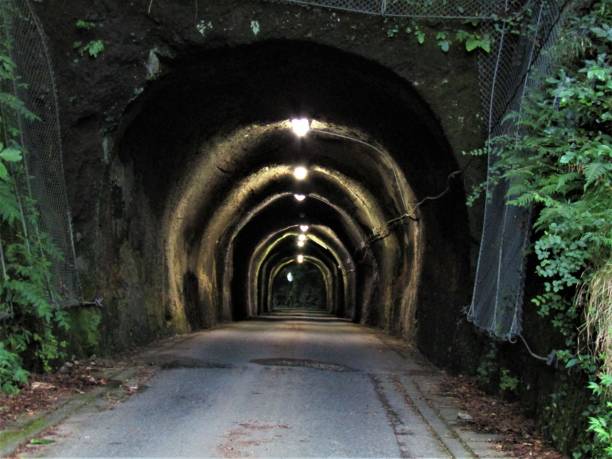 istock Japan. July. Never ending tunnel. 1266499075