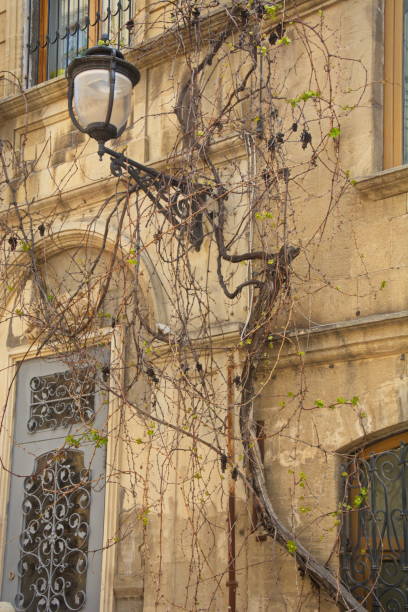 Street Lamp