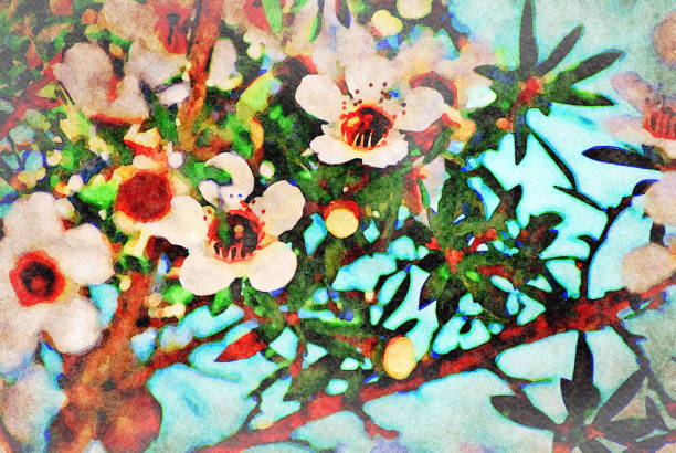 istock Watercolour Manuka (Leptospermum) New Zealand's Tea Tree 1266506729