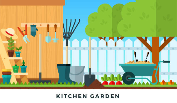 istock Colorful vector flat illustration of kitchen garden. Tools for gardening. 1266507604