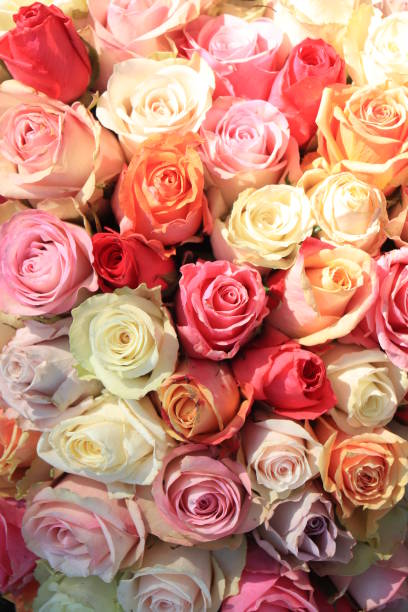 istock Pastel rose wedding flowers 1266507615