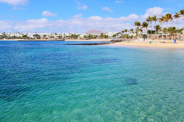 Beautiful beach of Las Cucharas in Costa Teguise, Lanzarote, Canary Islands. View of the blue sea, yellow sand, palm trees, selective focus
