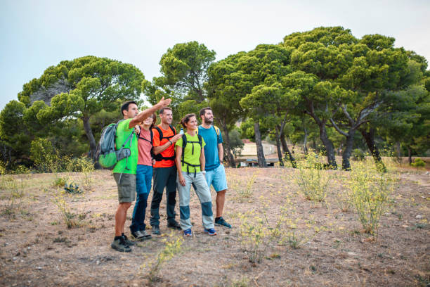 Leisure activity outdoors. Group of friends, young men and women walking, strolling together during picnic in summer forest, meadow. Lifestyle, friendship, having fun, weekend and resting concept.