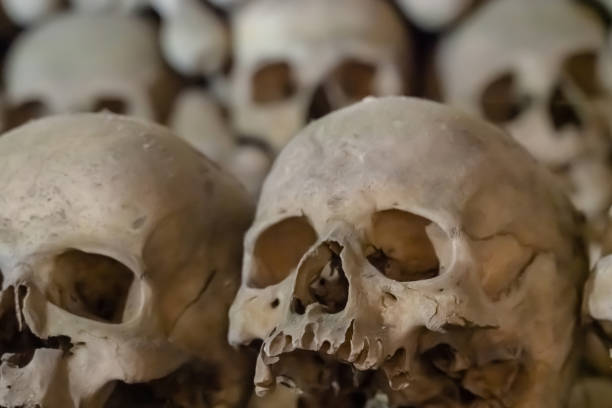 古い人間の頭蓋骨は、連続クローズアップオープン墓地にあります - photography close up side view halloween ストックフォトと画像