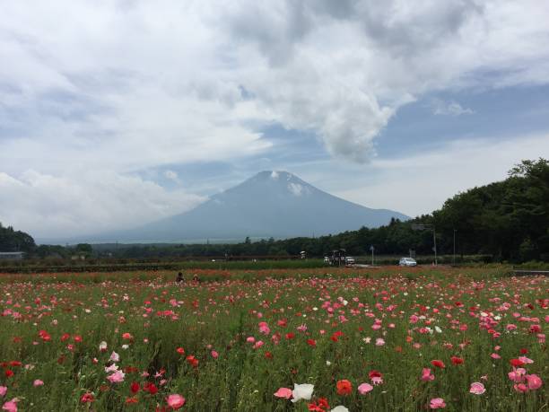 istock Mount fuji landscape in summer 1266518097