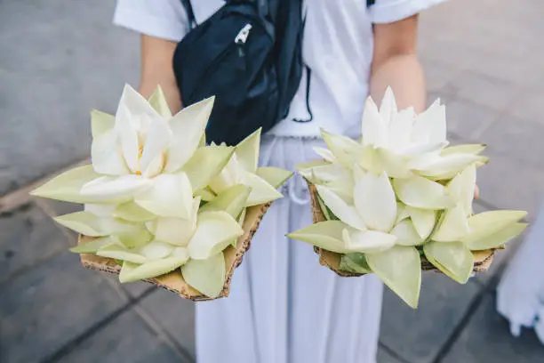 Photo of Buddhist people holding lotus flowers before offer to Buddha statues.