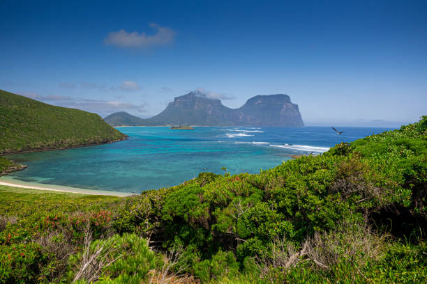 Mount Gower and Mount Lidgbird across the lagoon