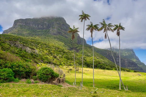 ilha lord howe - lord howe island - fotografias e filmes do acervo