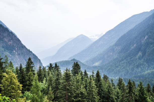 istock Alps Mountains. Alpine Austria Mountain 1266532223