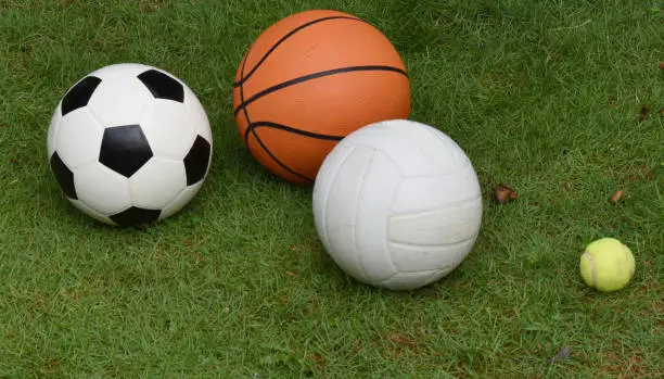 football, basketball, tennisball and volleyball on the meadow