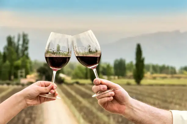 Two human hands celebrating with glasses of red wine. Mendoza Argentina.