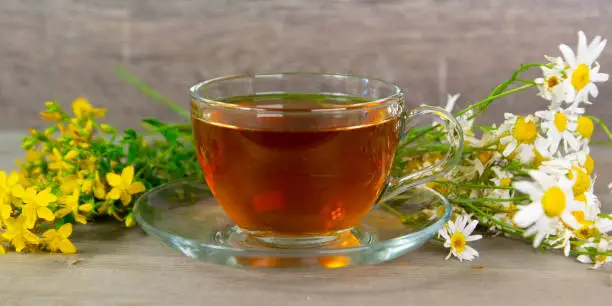 fresh organic herbal tea in transparent glass cup with tutsan and chamomile flowers