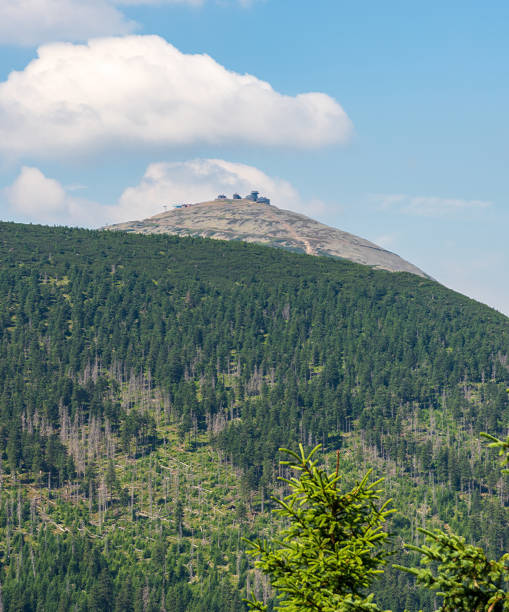 istock Snezka hill from hiking trail bellow Tabule hill on czech - polish borders 1266541452