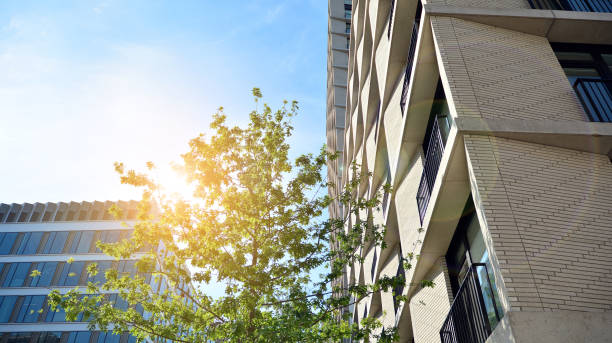 istock New housing landscape. 1266548530