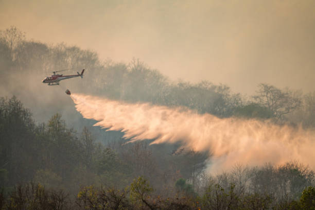 白い煙で森林火災でヘリコプターの消火 - fire retardant ストックフォトと画像