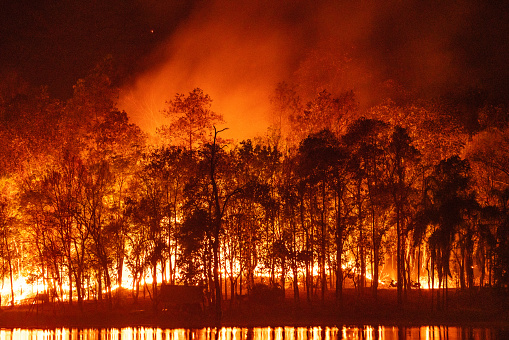 Forest fire wildfire at night time with lake water reflection