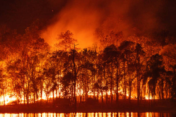 Forest fire wildfire at night time with lake water reflection stock photo