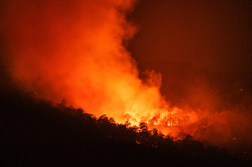 Forest fire wildfire at night time on the mountain with big smoke in Chiang Mai, Thailand
