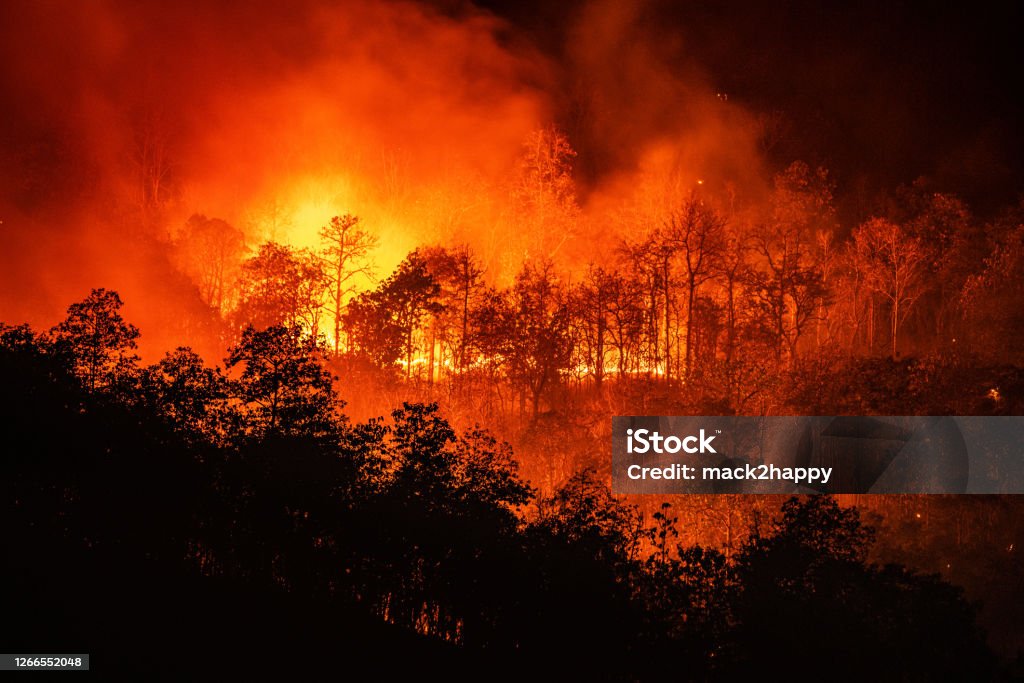 Forest fire wildfire at night time on the mountain with big smoke Forest fire wildfire at night time on the mountain with big smoke in Chiang Mai, Thailand Climate Change Stock Photo