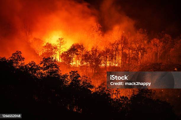 Forest Fire Wildfire At Night Time On The Mountain With Big Smoke Stock Photo - Download Image Now