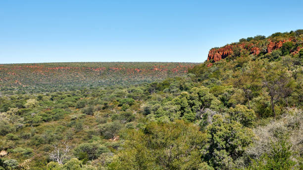 waterberg plateau national park. - landscape panoramic kalahari desert namibia imagens e fotografias de stock