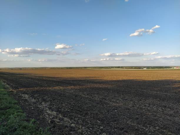 istock Fields and vineyards in the distance 1266561263