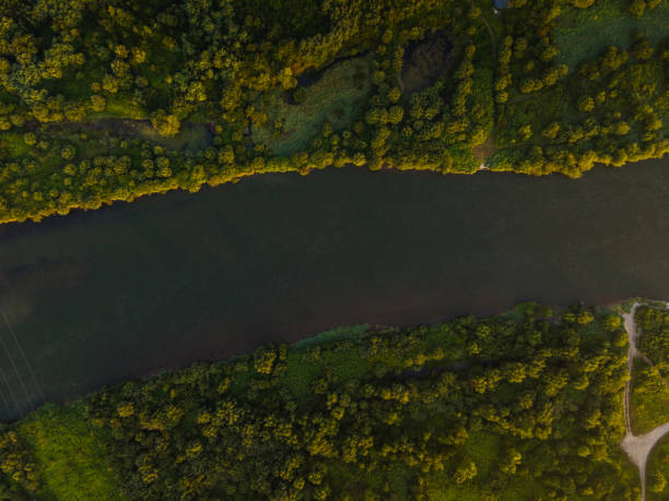 istock Top Down Drone View Over Dunajec River and Green Forest in Poland 1266562188