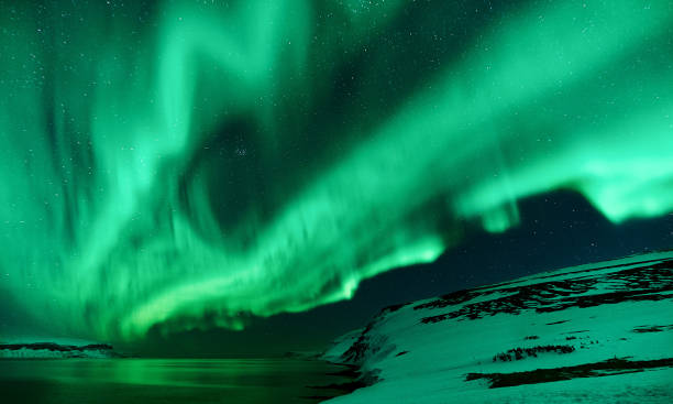 istock Northern lights in Iceland 1266562270