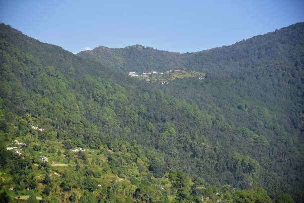 pangot : A Offbeat Hill station in uttarakhand Pangot is a small picturesque hamlet famous for its jungles and birds, located just 15 kms from Nainital. Walking into Pangot is like stepping into a remote Himalayan village. It is a birdwatchers paradise and have more than 300 species of birds in and around. pink flowering dogwood stock pictures, royalty-free photos & images
