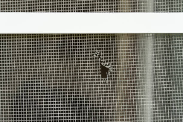 istock The texture of a mosquito net with a hole. Protection from insects. 1266562541
