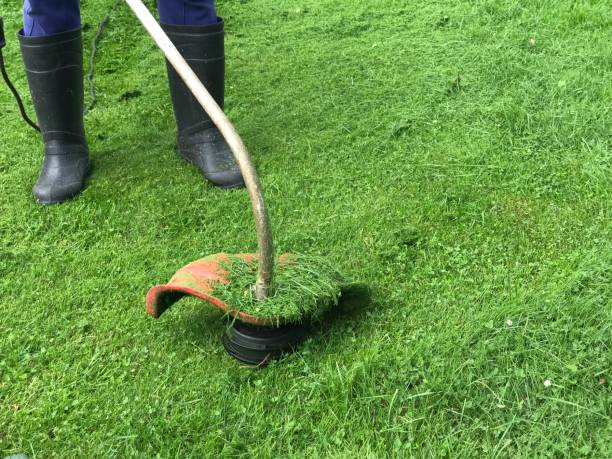 istock man mows the grass with a lawn mower 1266566720