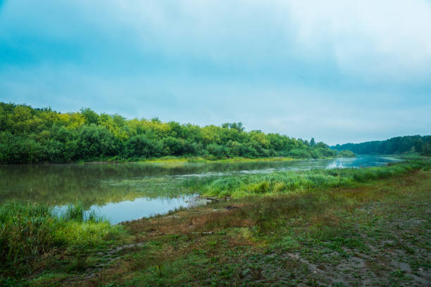 istock Calm river with forest on the other bank 1266568915
