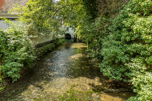 istock Jeker river with crystal clear water between tree branches with green leafs, a white wall construction 1266570146