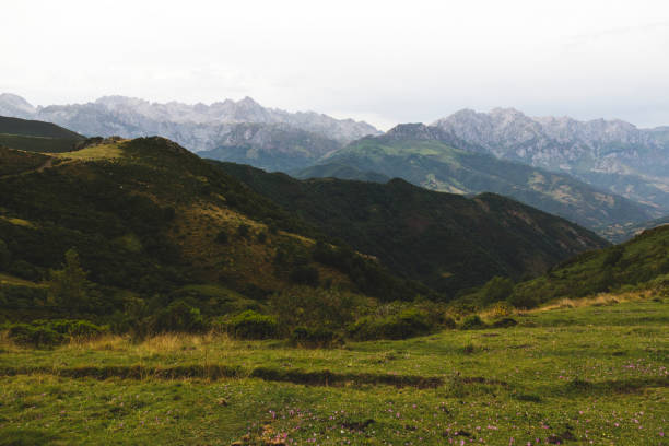 veduta delle montagne dei picos de europa delle asturie - cantabria picos de europe mountains panoramic asturias foto e immagini stock