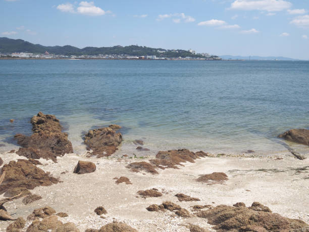 istock Photo of beach 1266570682
