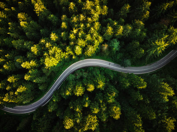 istock Winding Curvy Road Trough Forest. Aerial Drone Top Down View. Wilderness 1266573408