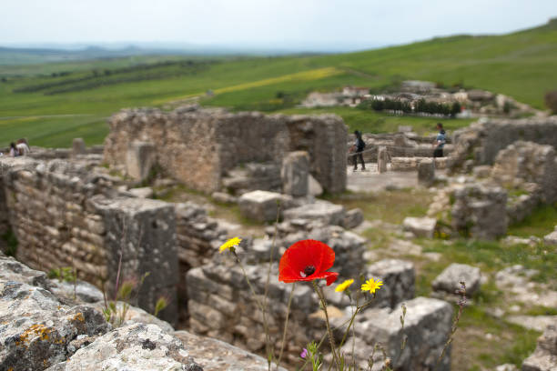 istock Red poppy flower with ruins in background 1266573544