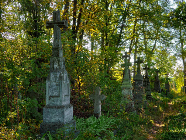 istock Old abandoned cemetery on a sunny morning 1266578224