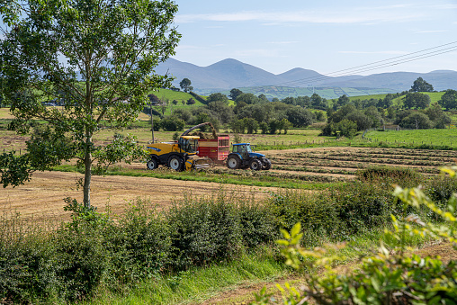 Ballyroney, County Down, Northern Ireland - August 15, 2020: A combine harvester cutting grass to make silage in the foothills of the Mourne Mountains.
